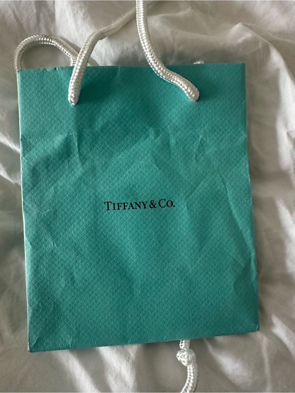 Tiffany & Co. Robin's Egg Blue Gift Bags with White Handles (Set of 4) - Picture 2 of 5